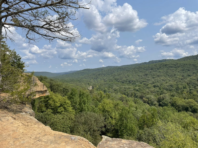 The Most Scenic Mountain Bike Trails in Northwest Arkansas