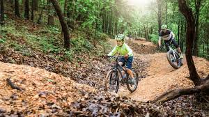 Best Beginner MTB Trails in Bentonville and Northwest AR for First-Time Visitors